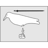 Galambriasztó holló