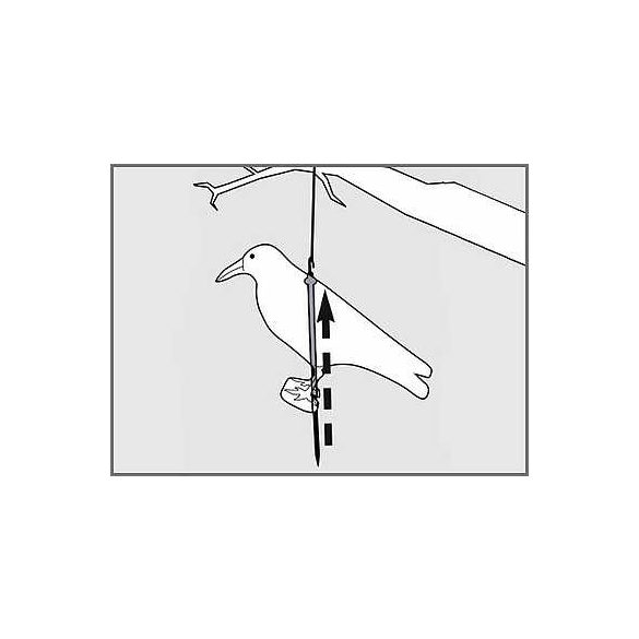 Galambriasztó holló