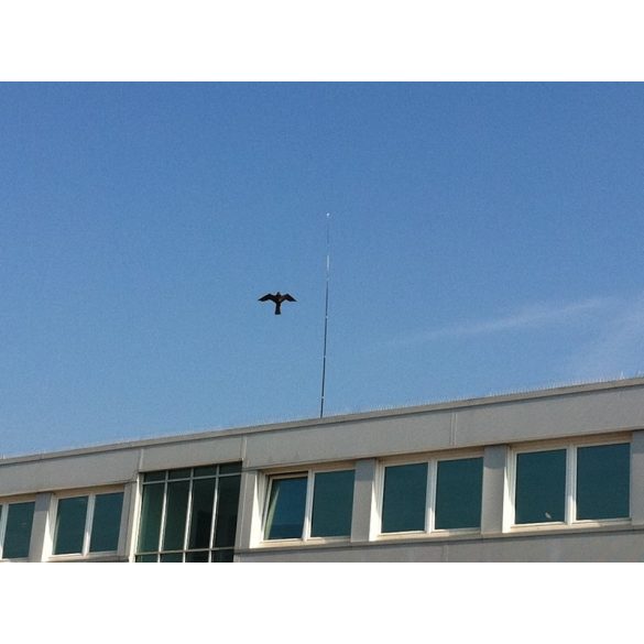 The Big Cheese Hawk Kite madárriasztó repülő héja szett